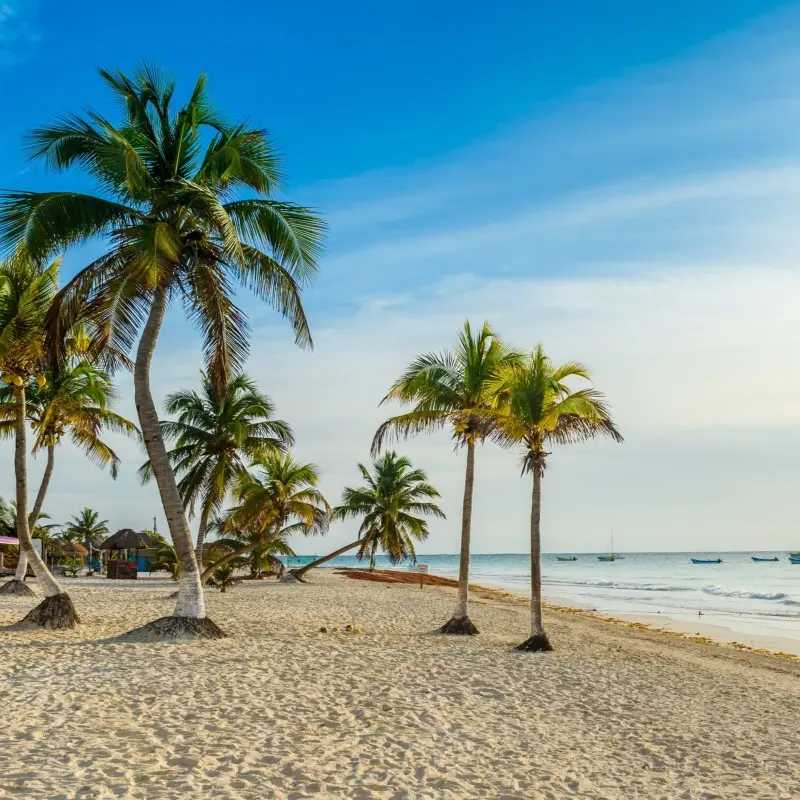 Travelfy - Playa Paraiso